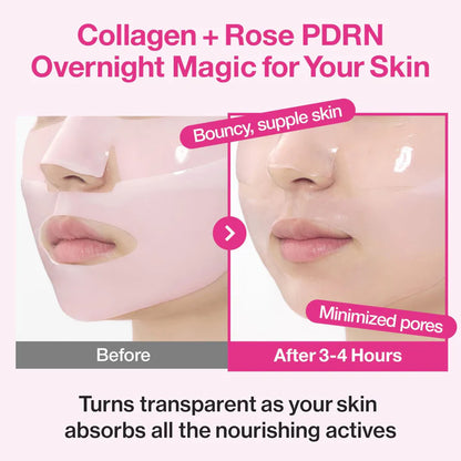 Numbuzin No.2 Rose PDRN Overnight Collagen Mask 4EA | Lifting & Glow – MyKStyle